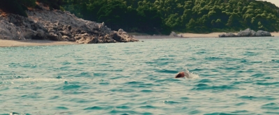 ASP435.jpg