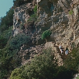 ASP173.jpg