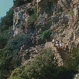ASP175.jpg