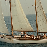 ASP460.jpg