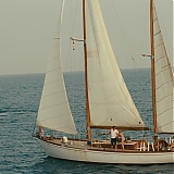 ASP463.jpg