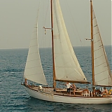 ASP464.jpg