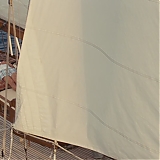 ASP509.jpg