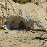 Filename=ASP542.jpg
Filesize=389KiB
Dimensions=1920x800
Date added=Mar 15, 2024 ASP542.jpg