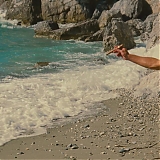 ASP557.jpg