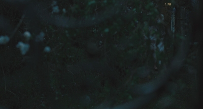 ASP131.jpg