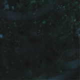 ASP130.jpg