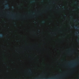 ASP131.jpg