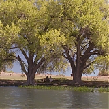 Filename=ASP010.jpg
Filesize=398KiB
Dimensions=1920x800
Date added=Apr 04, 2024 ASP010.jpg