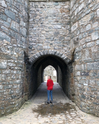 ASP003.jpg