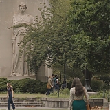ASP183.jpg